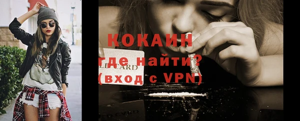 стаф Алексин