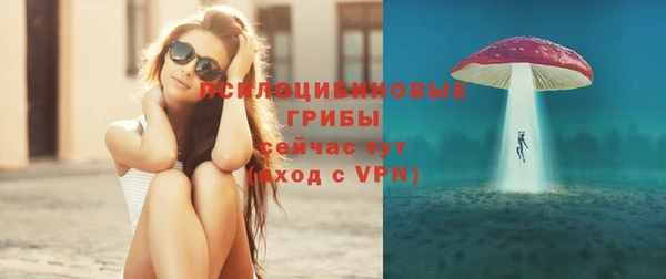 mdpv Михайлов