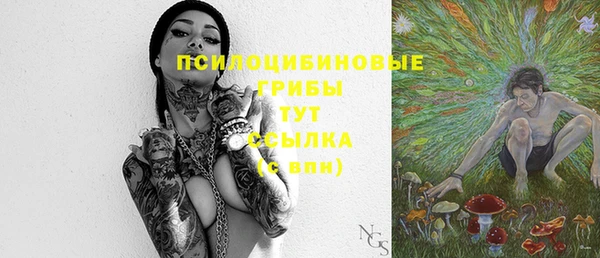 стаф Алексин