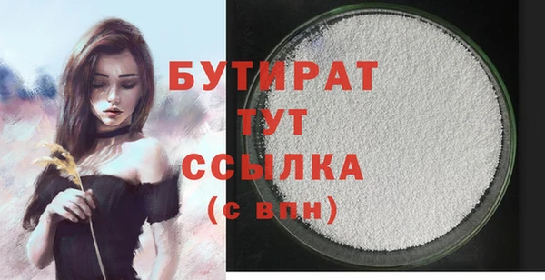 индика Михайловск
