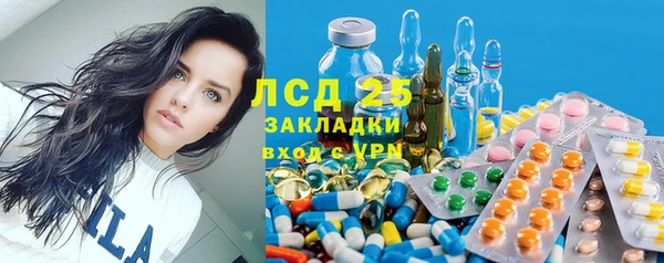 стаф Алексин