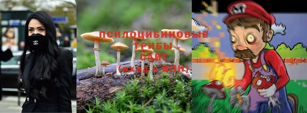 винт Надым