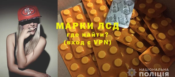 индика Михайловск